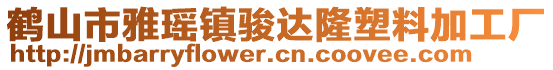 鶴山市雅瑤鎮(zhèn)駿達(dá)隆塑料加工廠