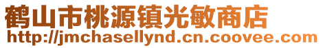 鶴山市桃源鎮光敏商店