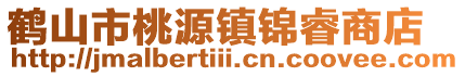 鶴山市桃源鎮錦睿商店