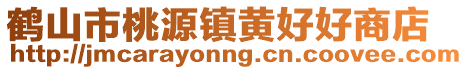 鶴山市桃源鎮黃好好商店