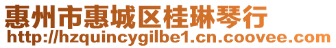 惠州市惠城區(qū)桂琳琴行