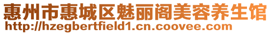 惠州市惠城區(qū)魅麗閣美容養(yǎng)生館