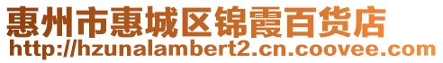 惠州市惠城區(qū)錦霞百貨店