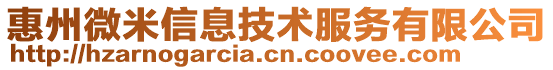 惠州微米信息技術服務有限公司
