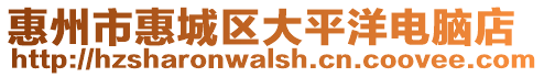 惠州市惠城區(qū)大平洋電腦店