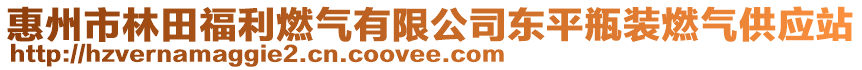 惠州市林田福利燃氣有限公司東平瓶裝燃氣供應站