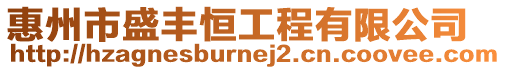 惠州市盛豐恒工程有限公司