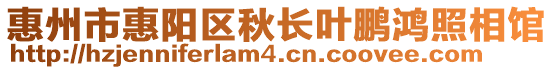 惠州市惠陽區(qū)秋長葉鵬鴻照相館
