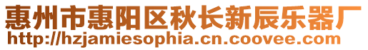 惠州市惠陽區秋長新辰樂器廠