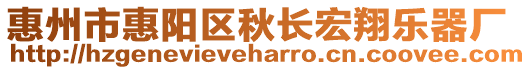 惠州市惠陽區(qū)秋長宏翔樂器廠