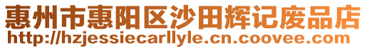 惠州市惠陽區沙田輝記廢品店