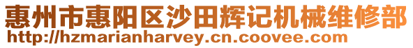 惠州市惠陽區沙田輝記機械維修部