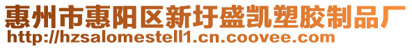 惠州市惠陽(yáng)區(qū)新圩盛凱塑膠制品廠
