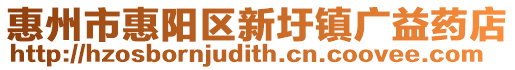 惠州市惠陽區(qū)新圩鎮(zhèn)廣益藥店