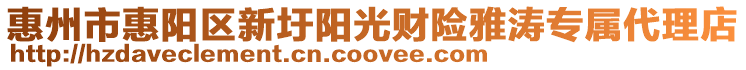 惠州市惠陽區(qū)新圩陽光財險雅濤專屬代理店