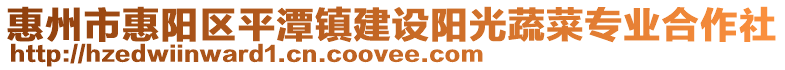 惠州市惠陽區(qū)平潭鎮(zhèn)建設(shè)陽光蔬菜專業(yè)合作社