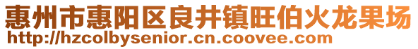惠州市惠陽區(qū)良井鎮(zhèn)旺伯火龍果場