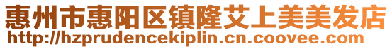 惠州市惠陽區(qū)鎮(zhèn)隆艾上美美發(fā)店