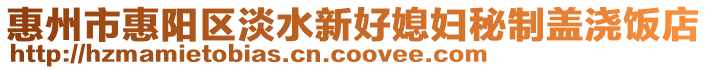惠州市惠陽區淡水新好媳婦秘制蓋澆飯店