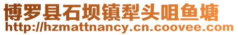 博羅縣石壩鎮(zhèn)犁頭咀魚(yú)塘