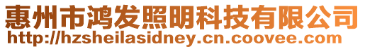 惠州市鴻發照明科技有限公司