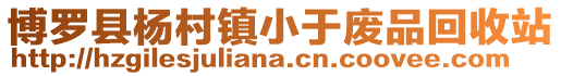 博羅縣楊村鎮小于廢品回收站