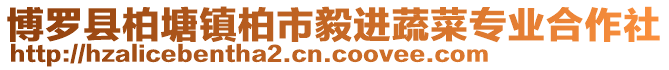 博羅縣柏塘鎮(zhèn)柏市毅進(jìn)蔬菜專業(yè)合作社
