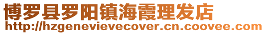 博羅縣羅陽鎮(zhèn)海霞理發(fā)店