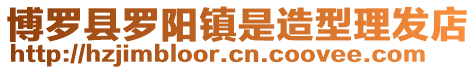 博羅縣羅陽鎮是造型理發店
