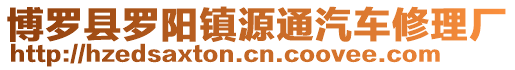博羅縣羅陽鎮(zhèn)源通汽車修理廠