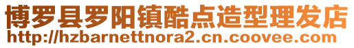 博羅縣羅陽(yáng)鎮(zhèn)酷點(diǎn)造型理發(fā)店