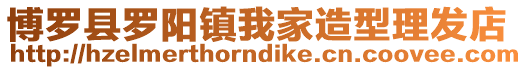 博羅縣羅陽鎮我家造型理發店