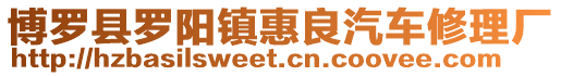 博羅縣羅陽鎮惠良汽車修理廠