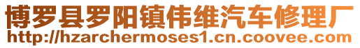 博羅縣羅陽(yáng)鎮(zhèn)偉維汽車修理廠