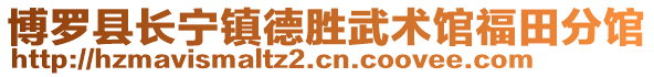博羅縣長寧鎮德勝武術館福田分館