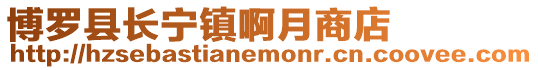 博羅縣長(zhǎng)寧鎮(zhèn)啊月商店