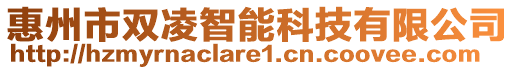 惠州市雙凌智能科技有限公司