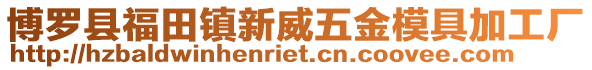 博羅縣福田鎮新威五金模具加工廠