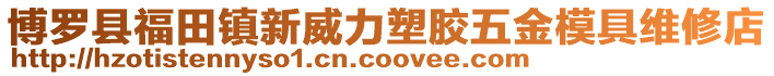 博羅縣福田鎮(zhèn)新威力塑膠五金模具維修店