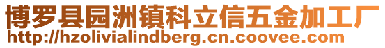博羅縣園洲鎮(zhèn)科立信五金加工廠