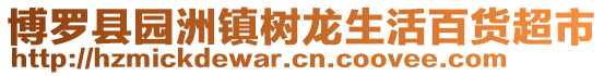 博羅縣園洲鎮(zhèn)樹龍生活百貨超市