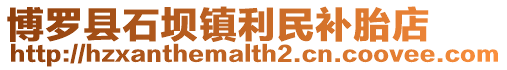 博羅縣石壩鎮利民補胎店