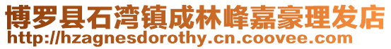 博羅縣石灣鎮成林峰嘉豪理發店