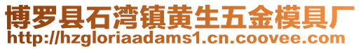 博羅縣石灣鎮黃生五金模具廠