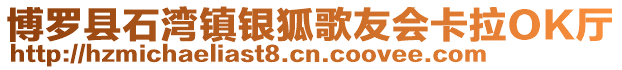 博羅縣石灣鎮(zhèn)銀狐歌友會卡拉OK廳