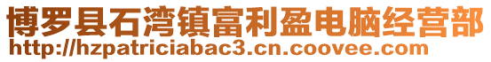 博羅縣石灣鎮富利盈電腦經營部