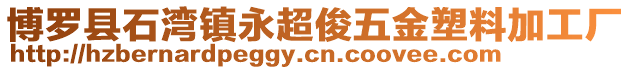 博羅縣石灣鎮永超俊五金塑料加工廠