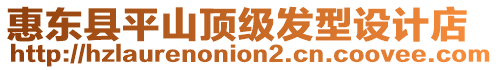 惠東縣平山頂級發(fā)型設(shè)計店