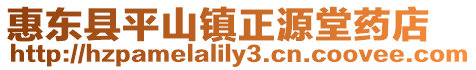 惠東縣平山鎮正源堂藥店