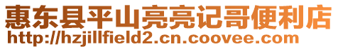 惠東縣平山亮亮記哥便利店